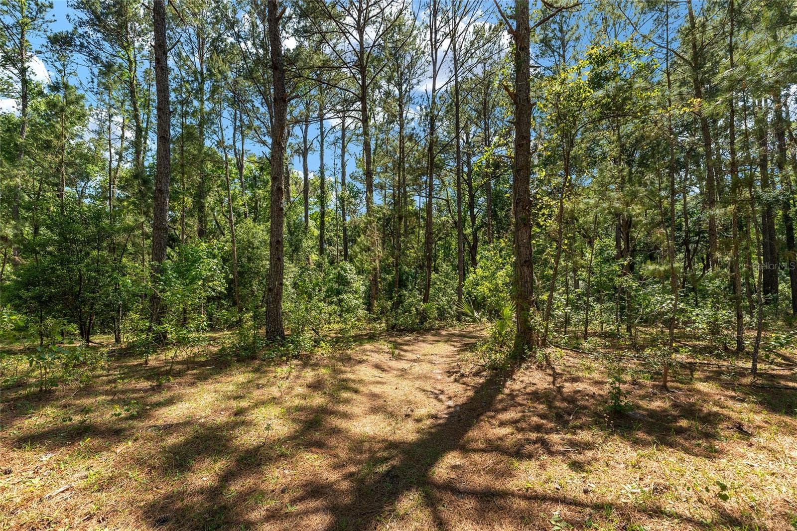 Farm at 15120 SE 85TH ST, OCKLAWAHA, photo 42 of 55