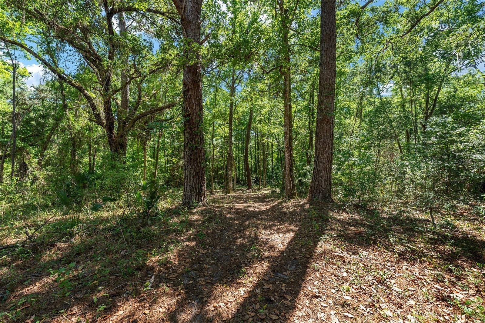 Farm at 15120 SE 85TH ST, OCKLAWAHA, photo 43 of 55