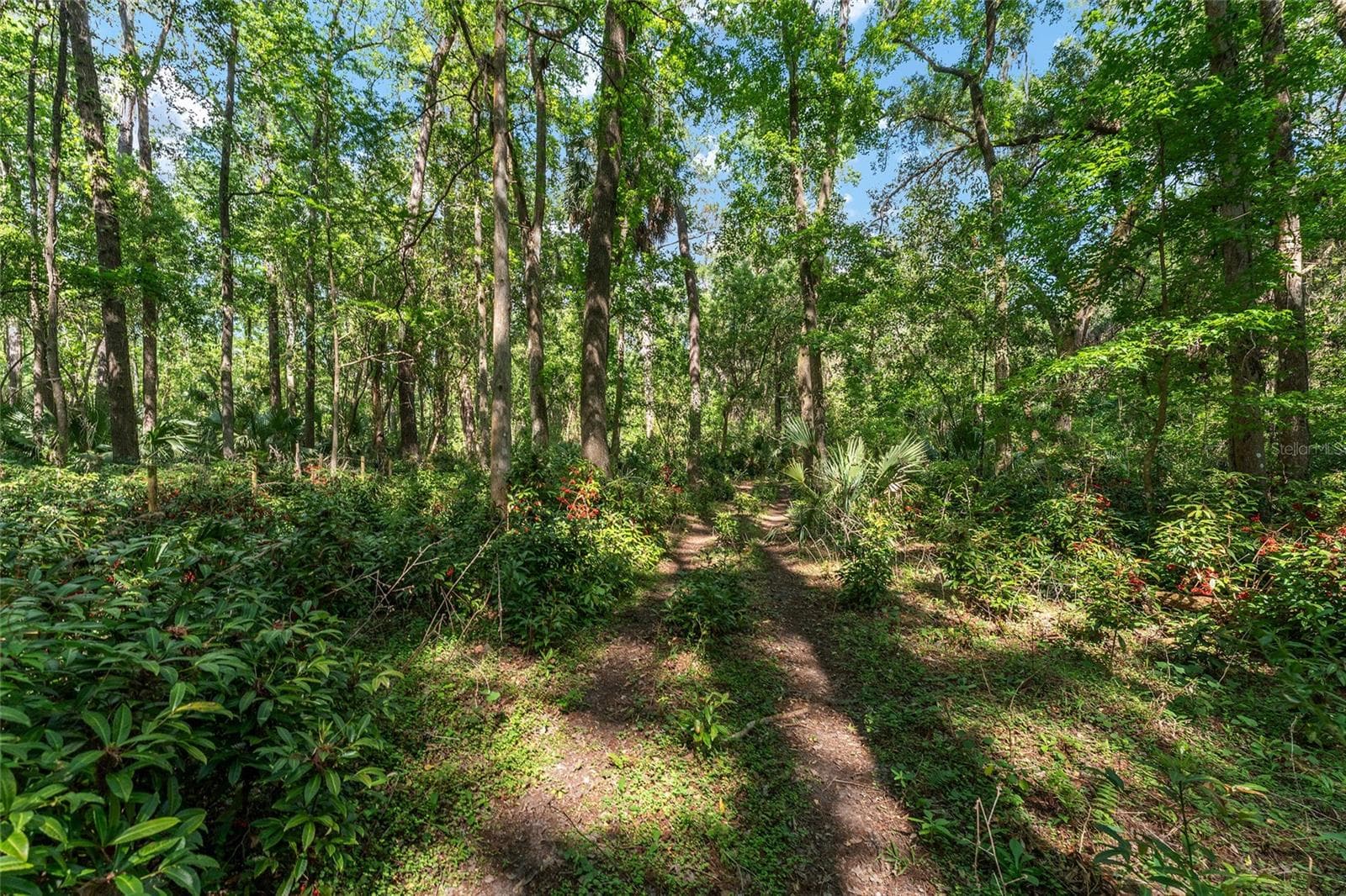 Farm at 15120 SE 85TH ST, OCKLAWAHA, photo 51 of 55
