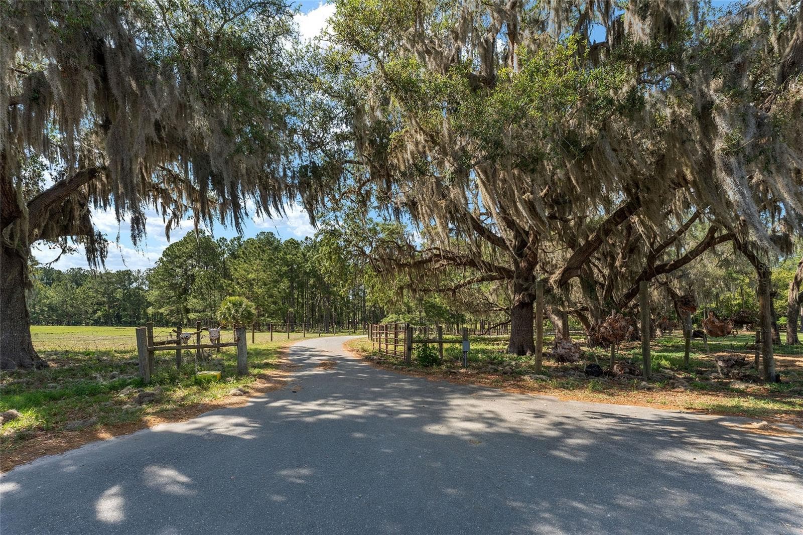 Farm at 15120 SE 85TH ST, OCKLAWAHA, photo 53 of 55