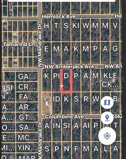 Land at LOT 3 NW AMBERJACK AVE., DUNNELLON, photo 2 of 3