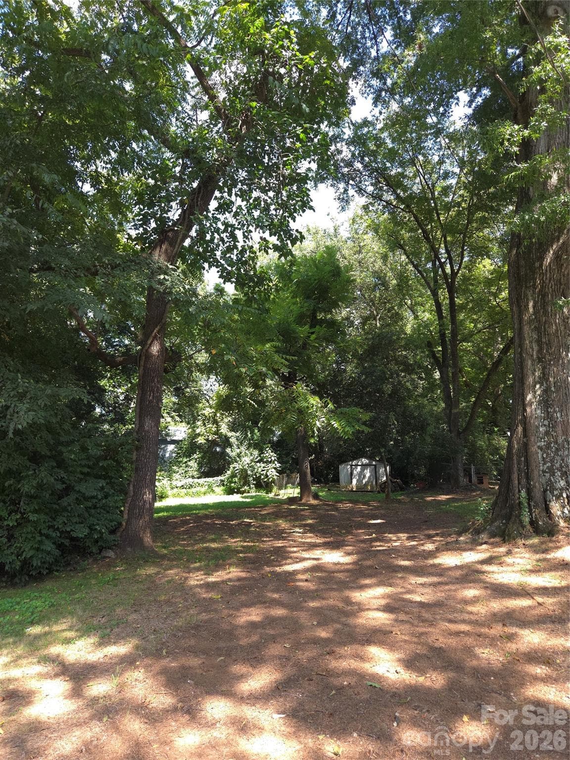 Lot on Tennyson - Charlotte