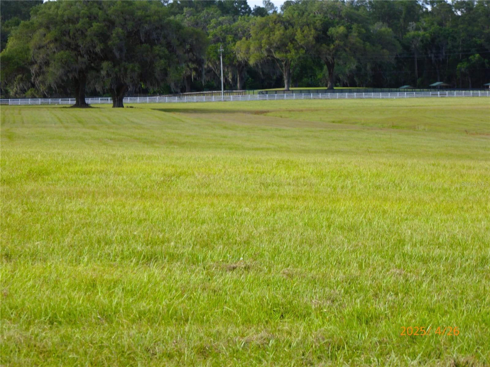 Land at 12750 W HIGHWAY 40 W, OCALA, photo 2 of 9