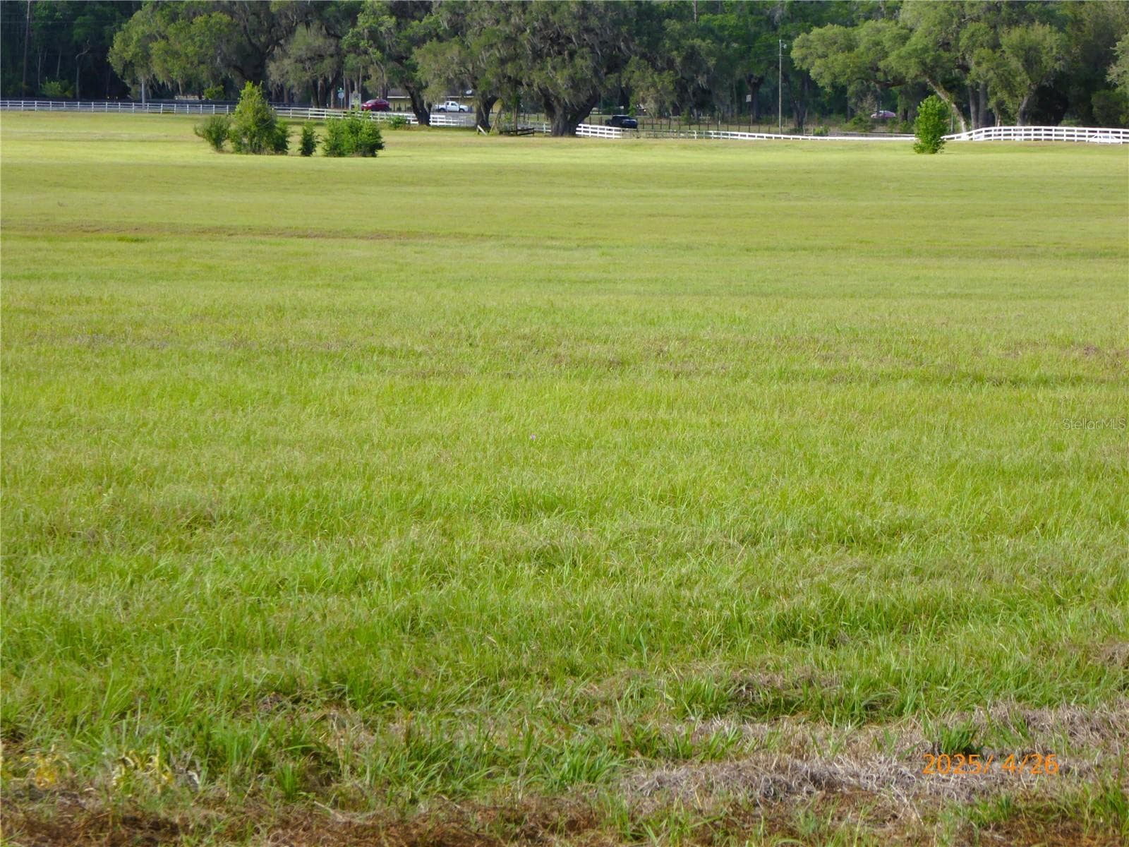 Land at 12750 W HIGHWAY 40 W, OCALA, photo 3 of 9