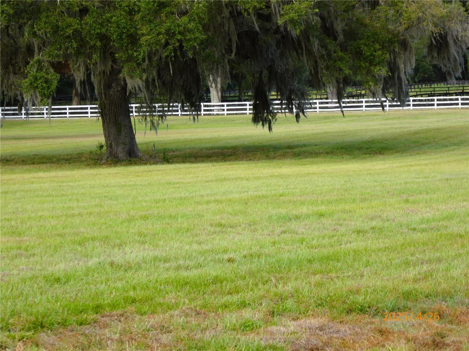 Land at 12750 W HIGHWAY 40 W, OCALA, photo 4 of 9