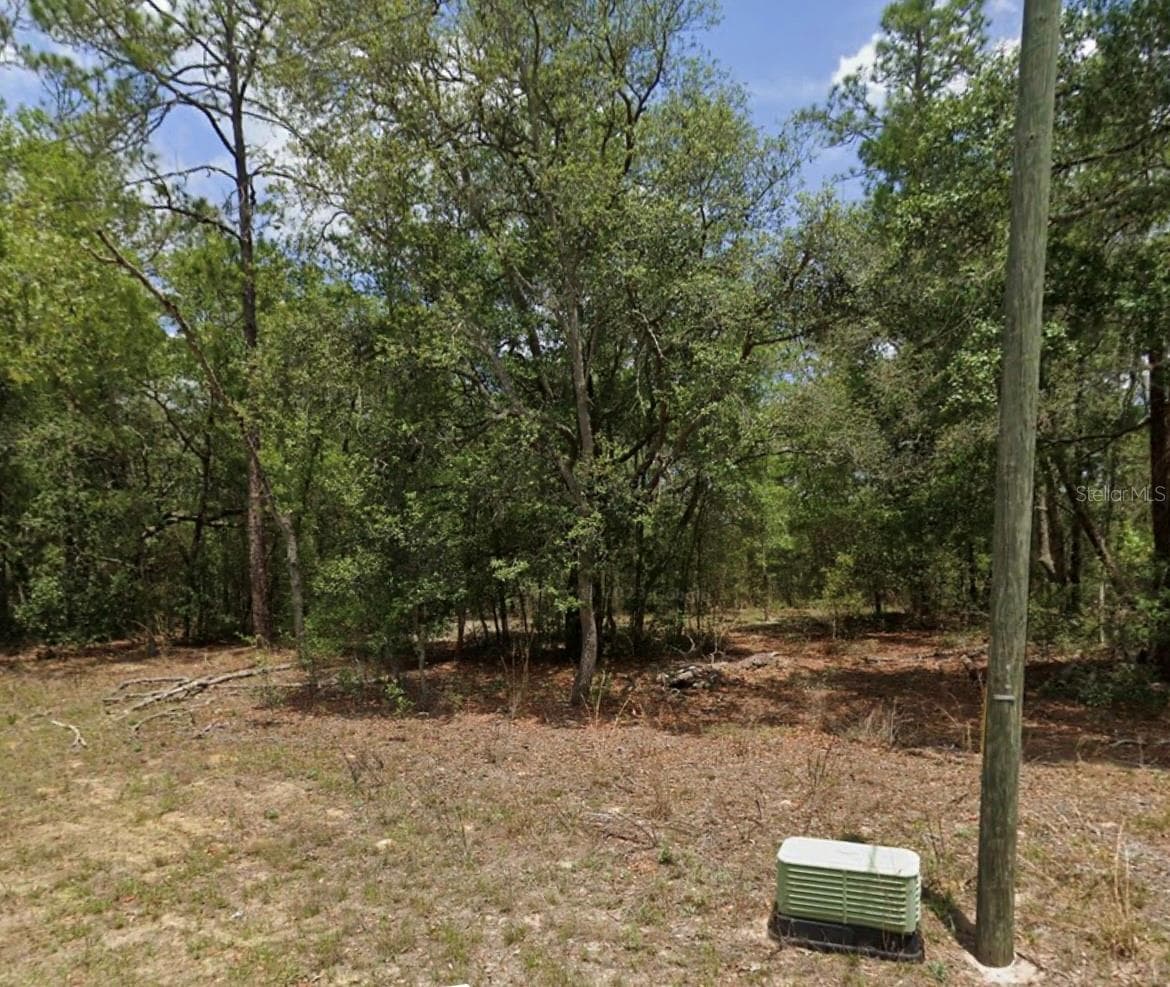11304 N FUEGO DR