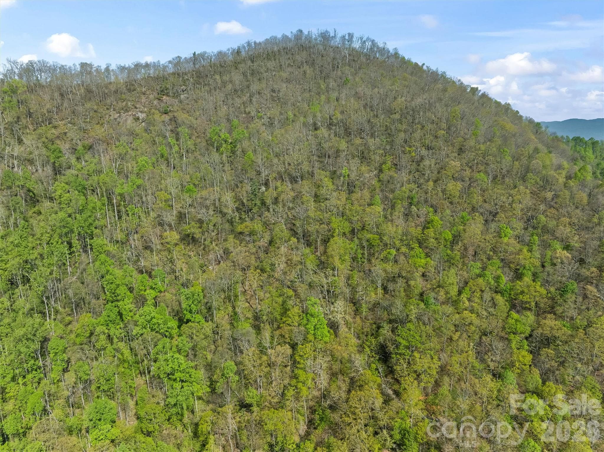 21 Reillys Bluff Road