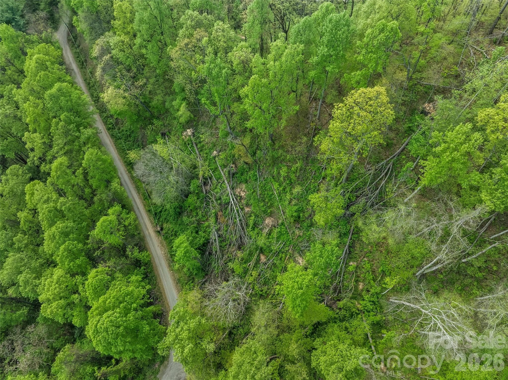 TBD Jacks Knob Road