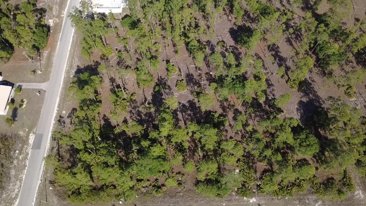 Land at 920 LOUIS AVE, LEHIGH ACRES, photo 2 of 5