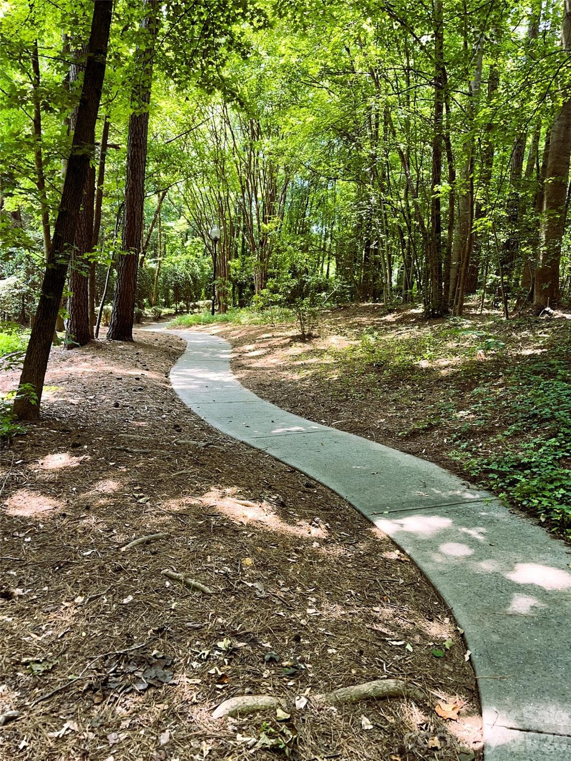 Walking Trails. - Overlook, Charlotte