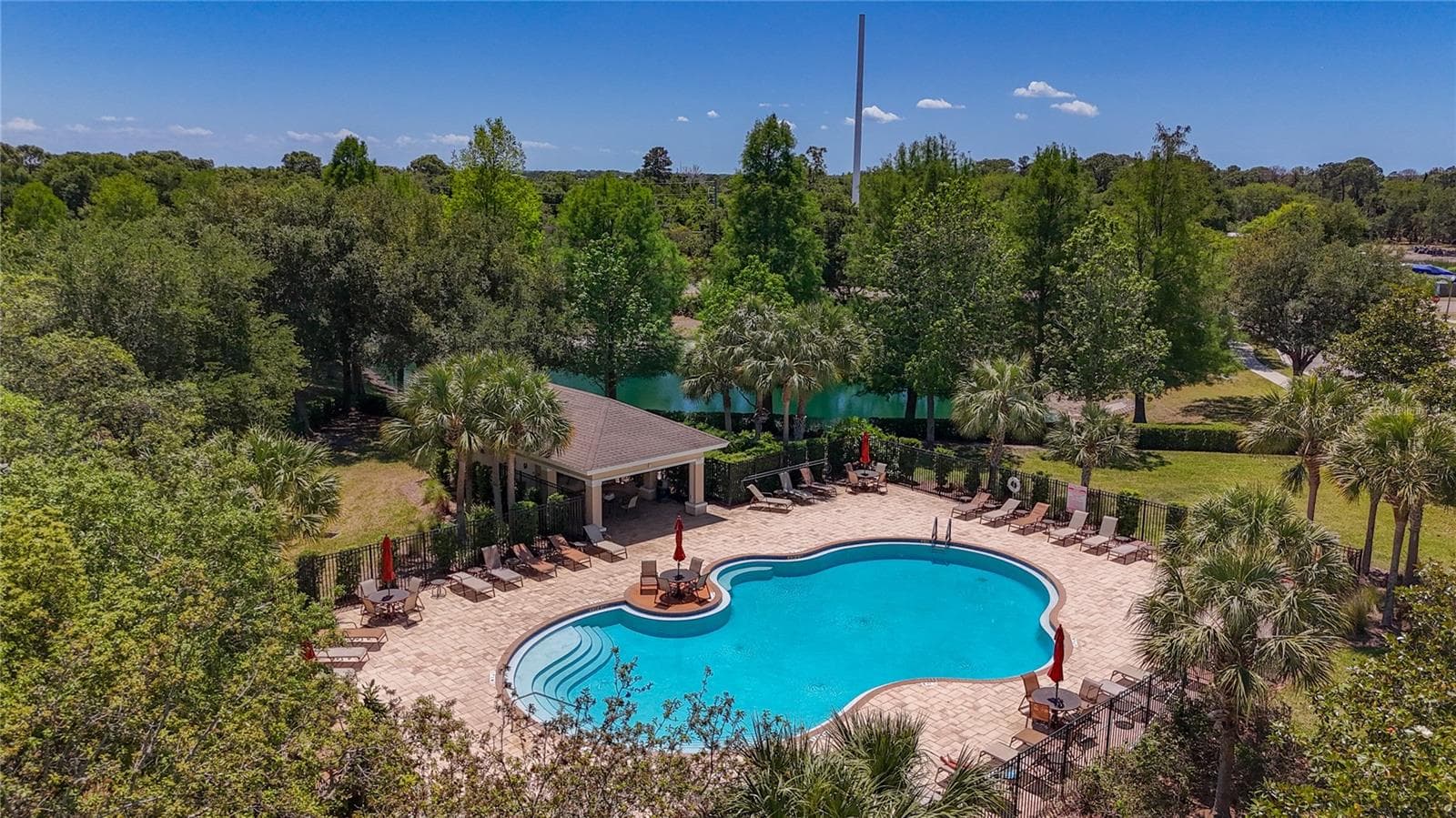 Walk to the community pool - 1027 ORCA CT, HOLIDAY