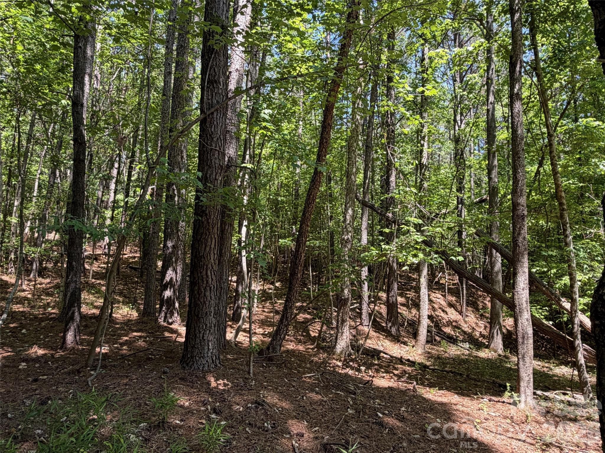 Lot at 2529 Lockhart Highway, Union, photo 26 of 27