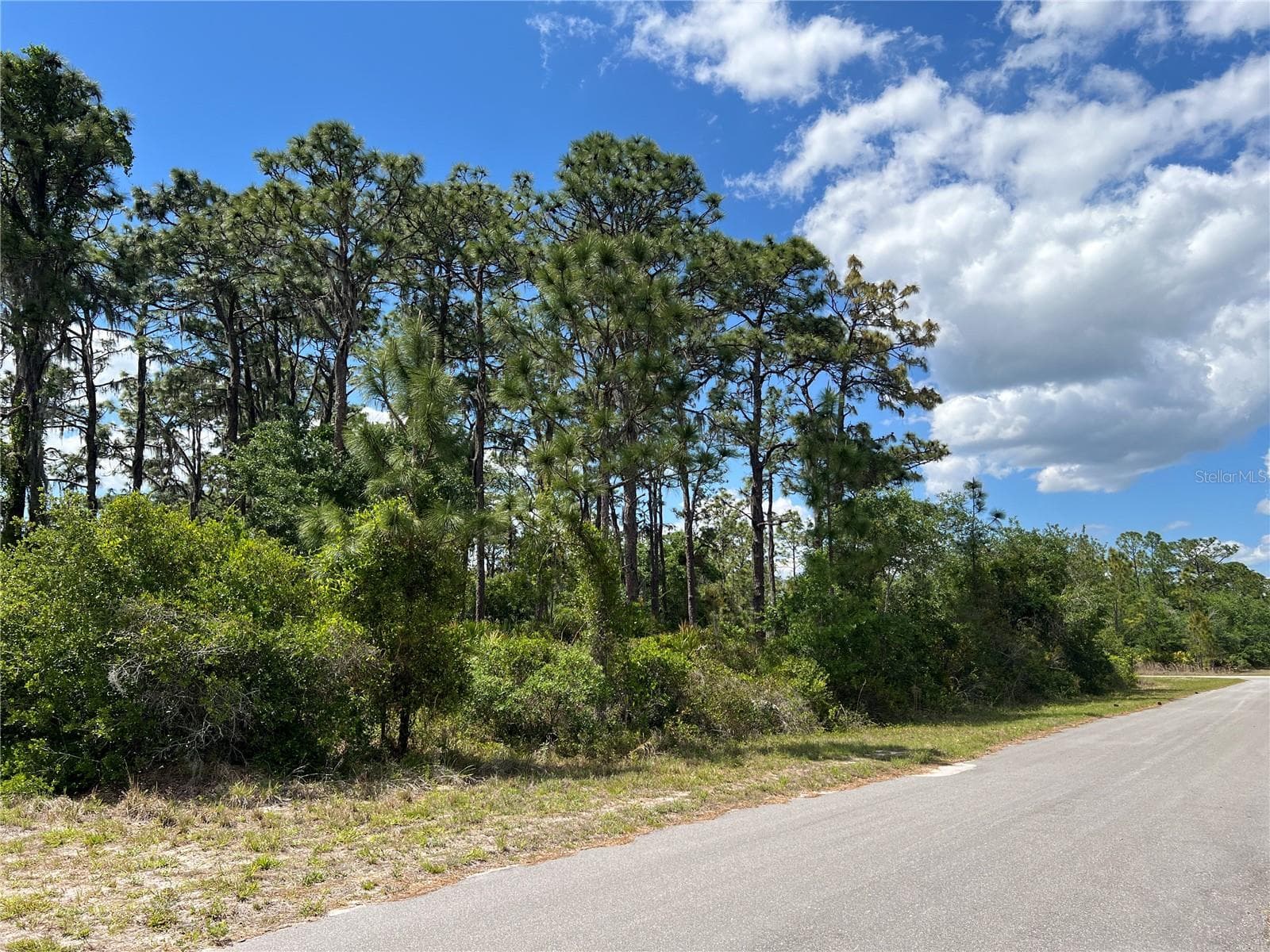 901 AZALEA DR
