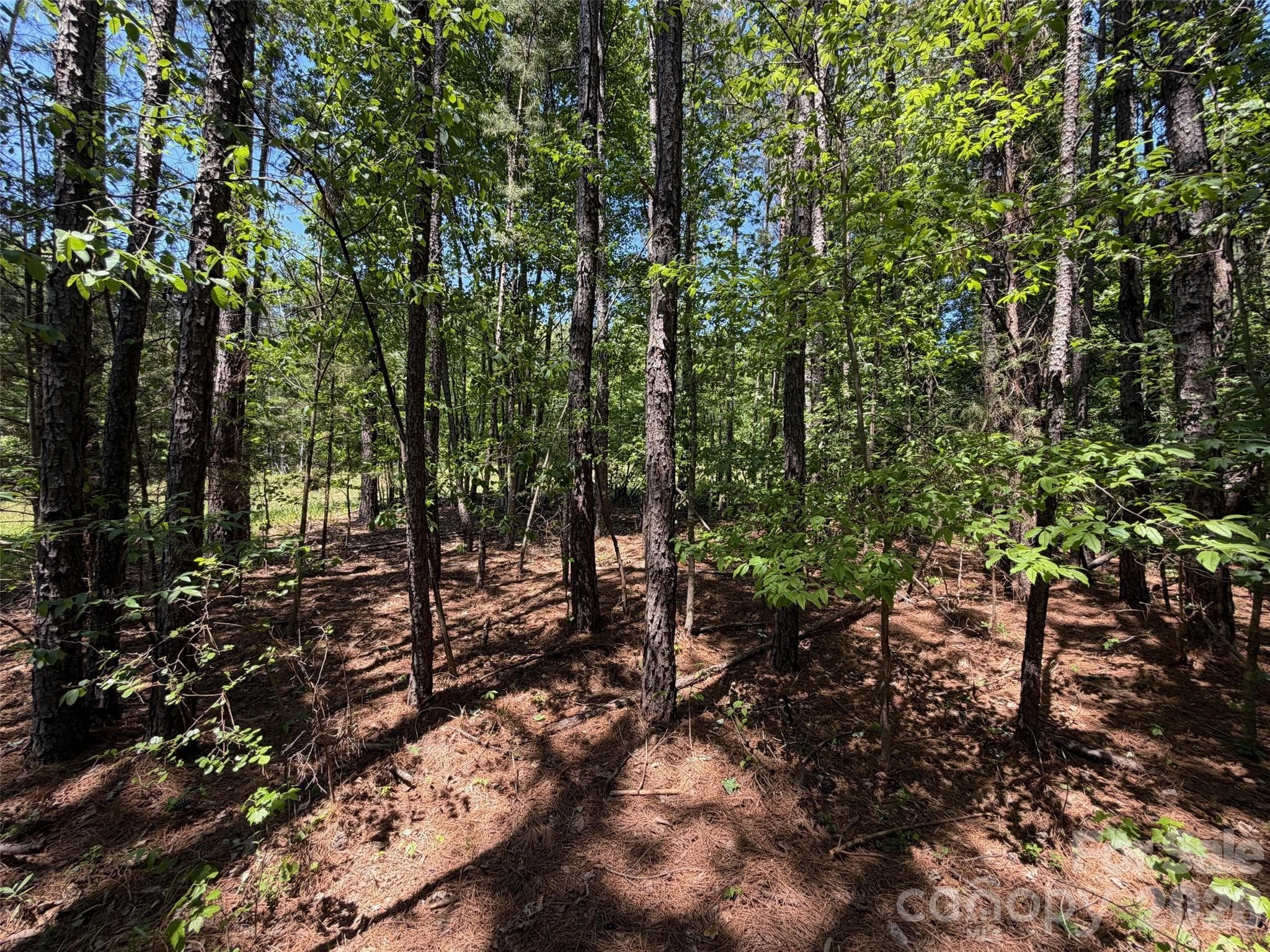 Lot at 2607 Lockhart Highway, Union, photo 14 of 19