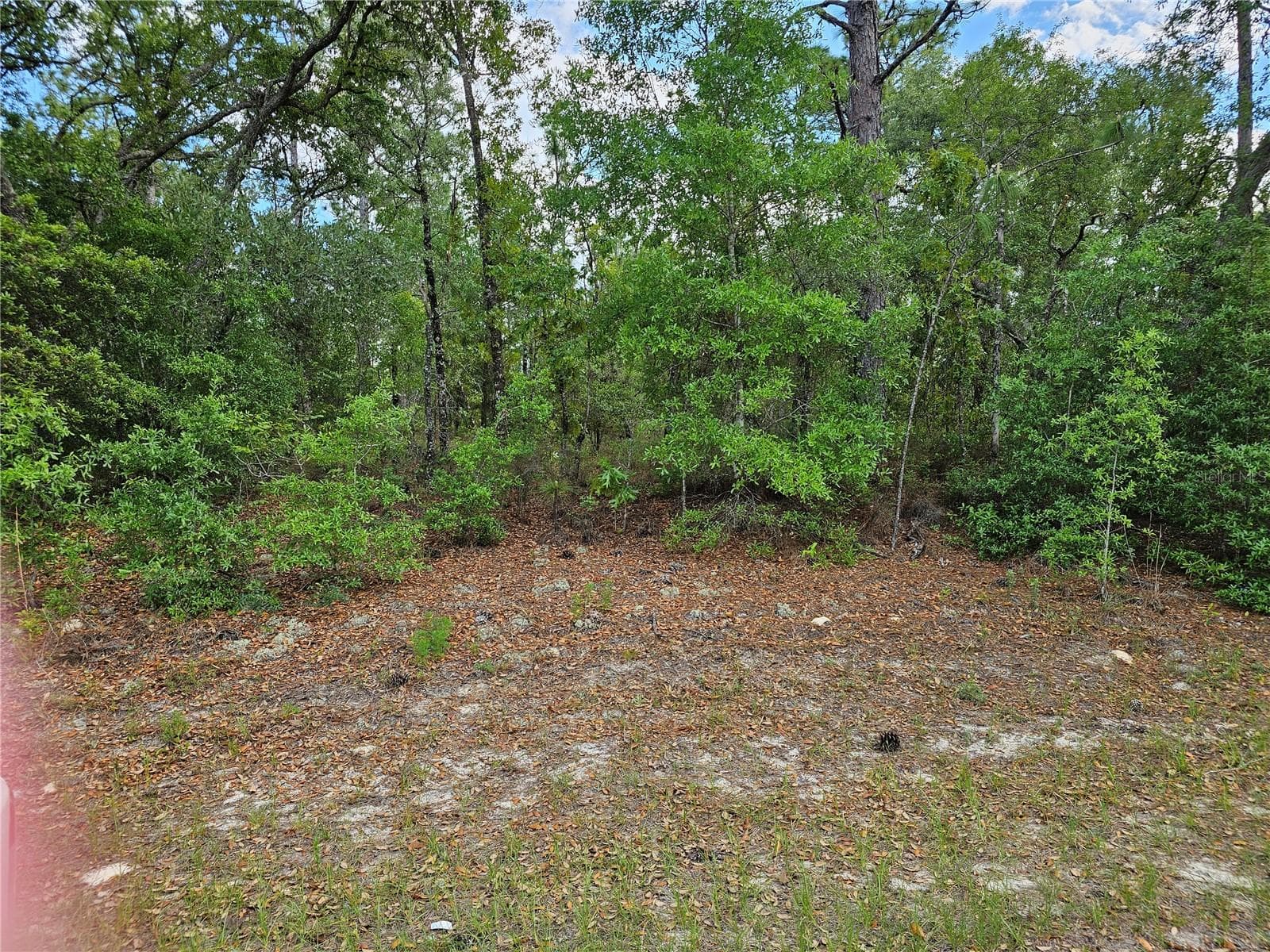 1681 W SKYLINE DR