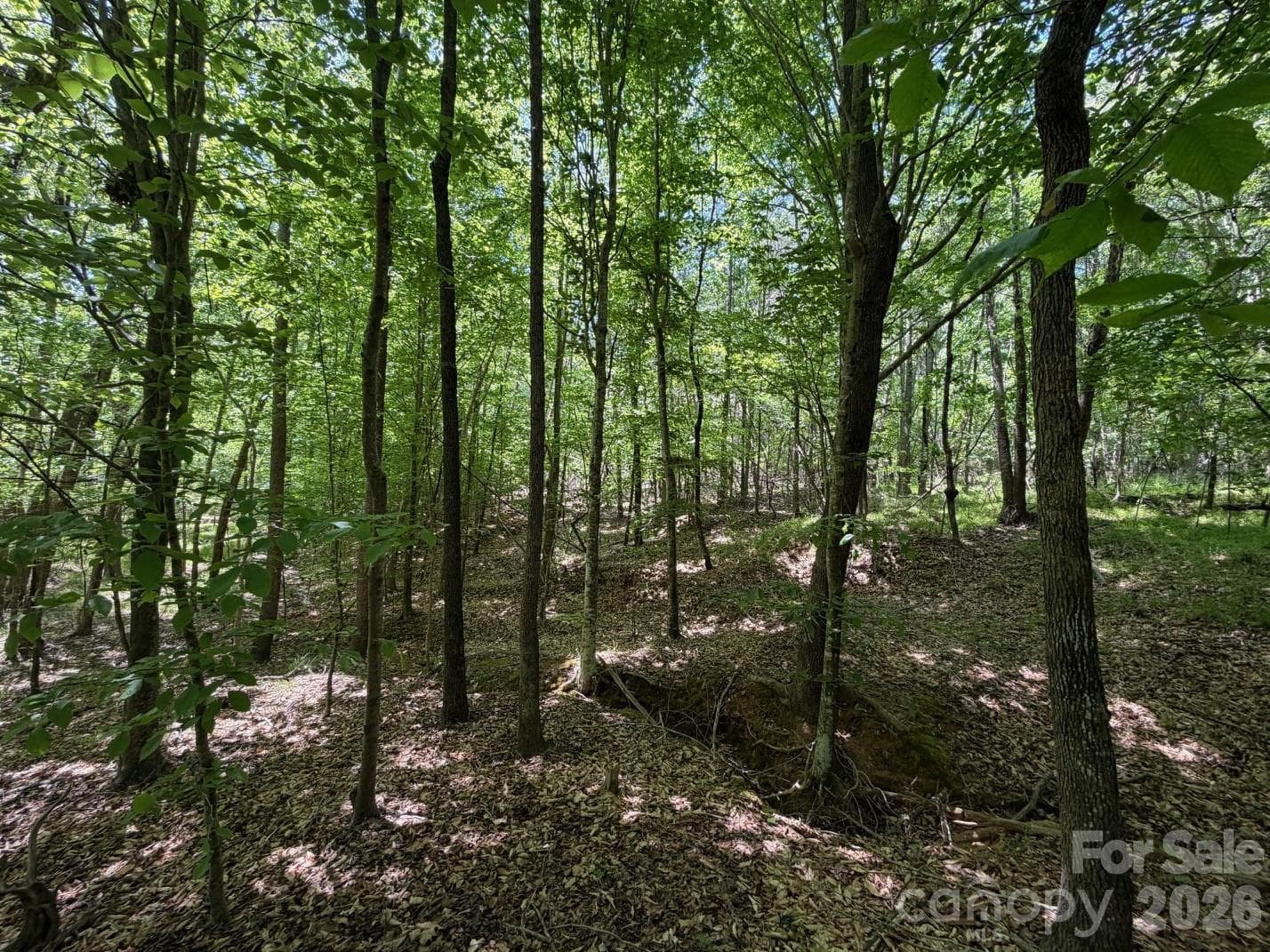 Lot at 8 AC Lockhart Highway, Union, photo 15 of 31