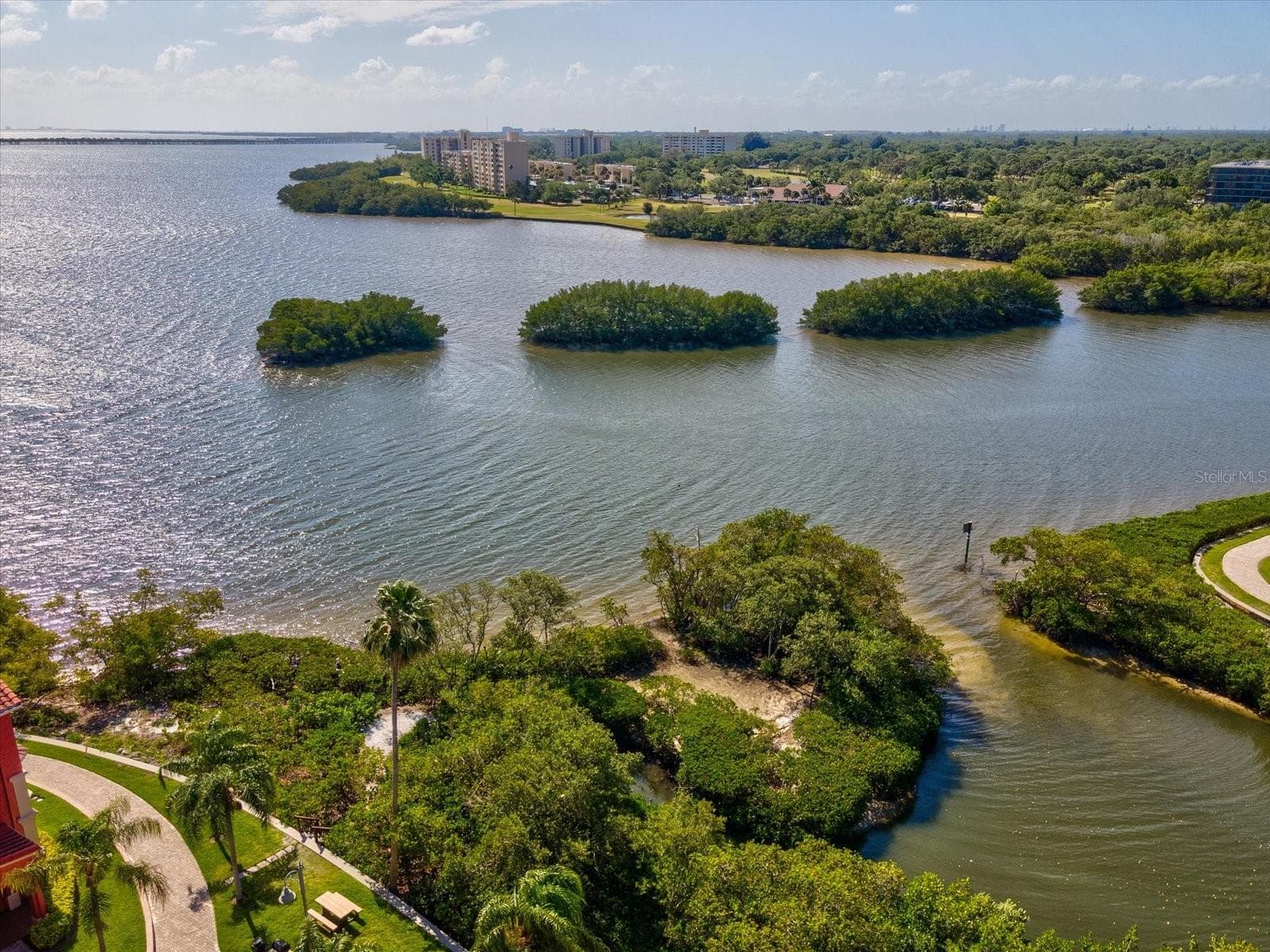Condominium at 2731 VIA CAPRI #925, CLEARWATER, photo 45 of 47