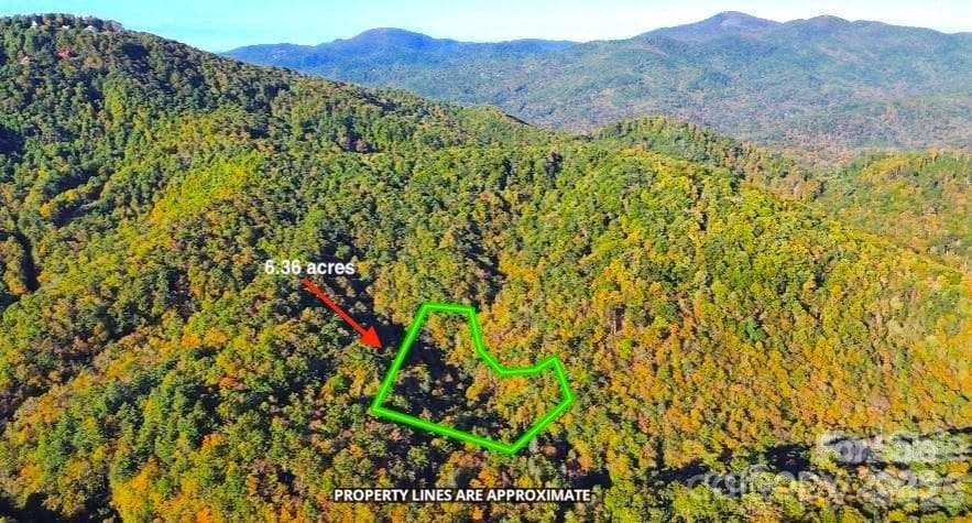 Approximate property border - Black Mountain