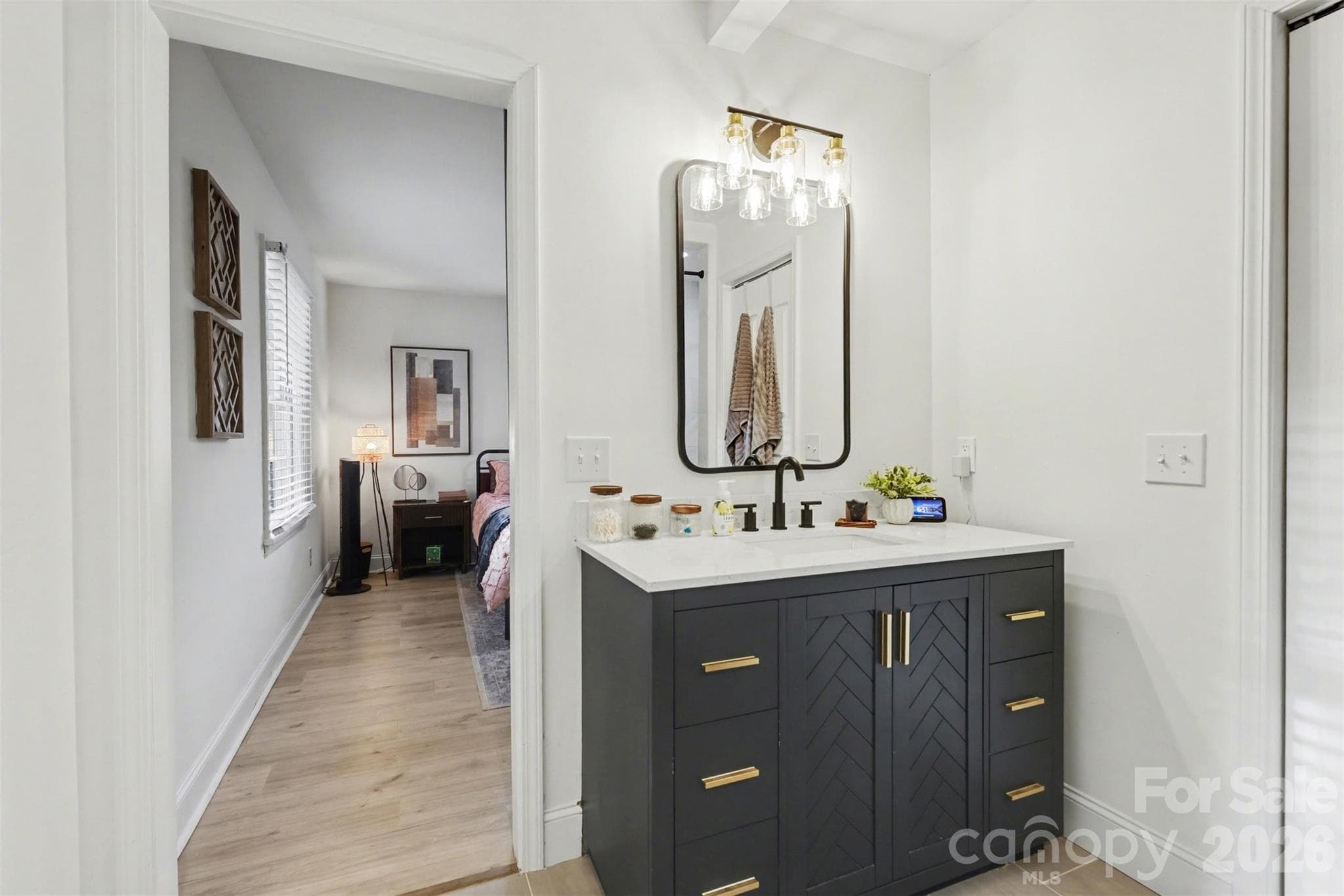 Updated vanity and closet to the right - 1209 Arbor Drive, Salisbury