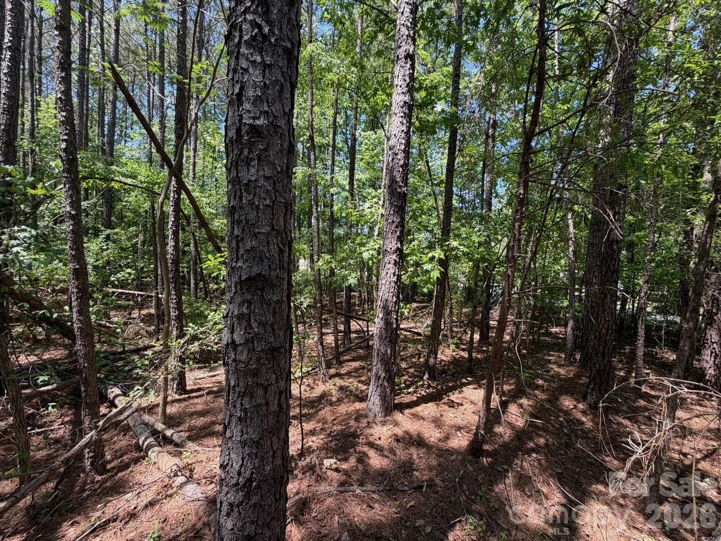 Lot at 5 AC Terry Drive Highway, Union, photo 4 of 27