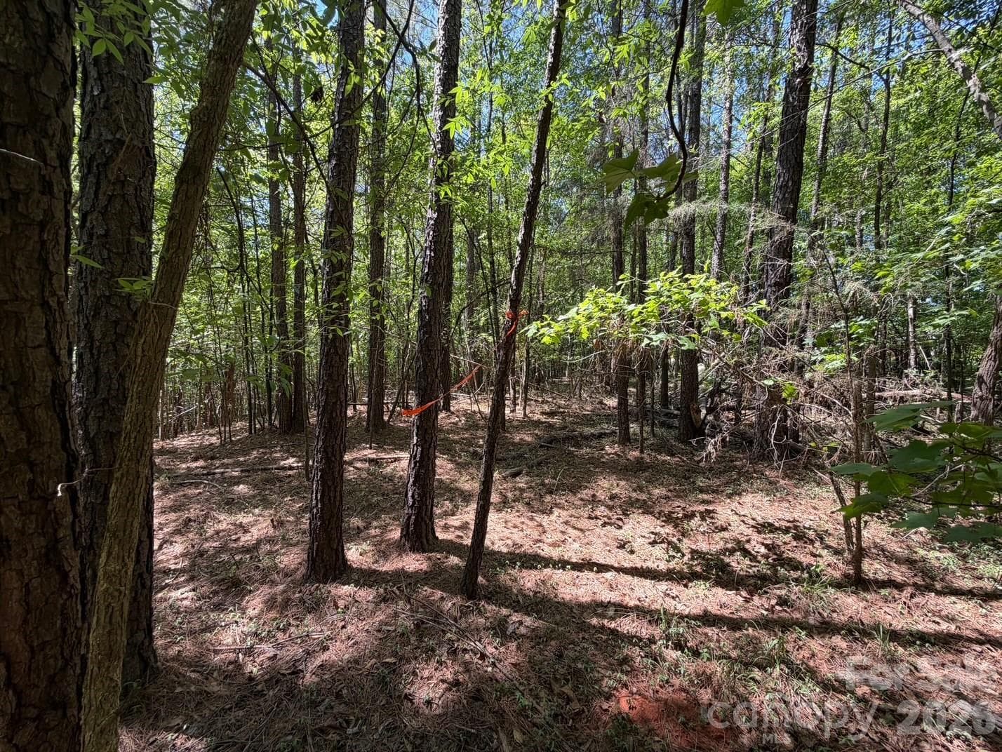 Lot at 5 AC Terry Drive Highway, Union, photo 7 of 27
