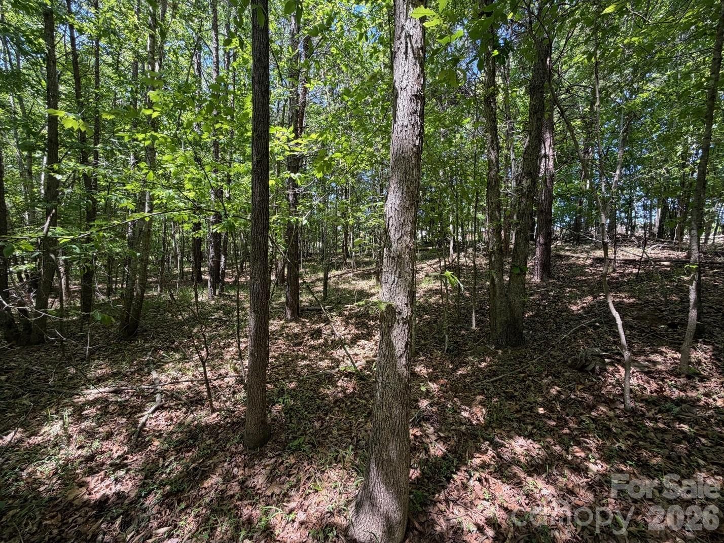 Lot at 5 AC Terry Drive Highway, Union, photo 9 of 27
