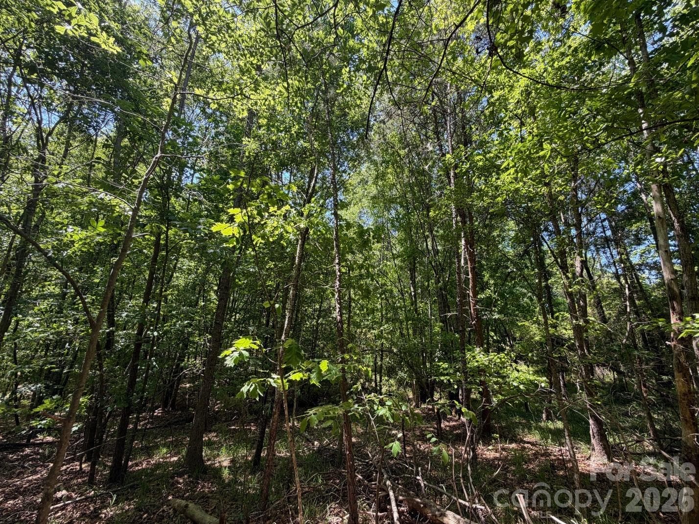 Lot at 5 AC Terry Drive Highway, Union, photo 10 of 27