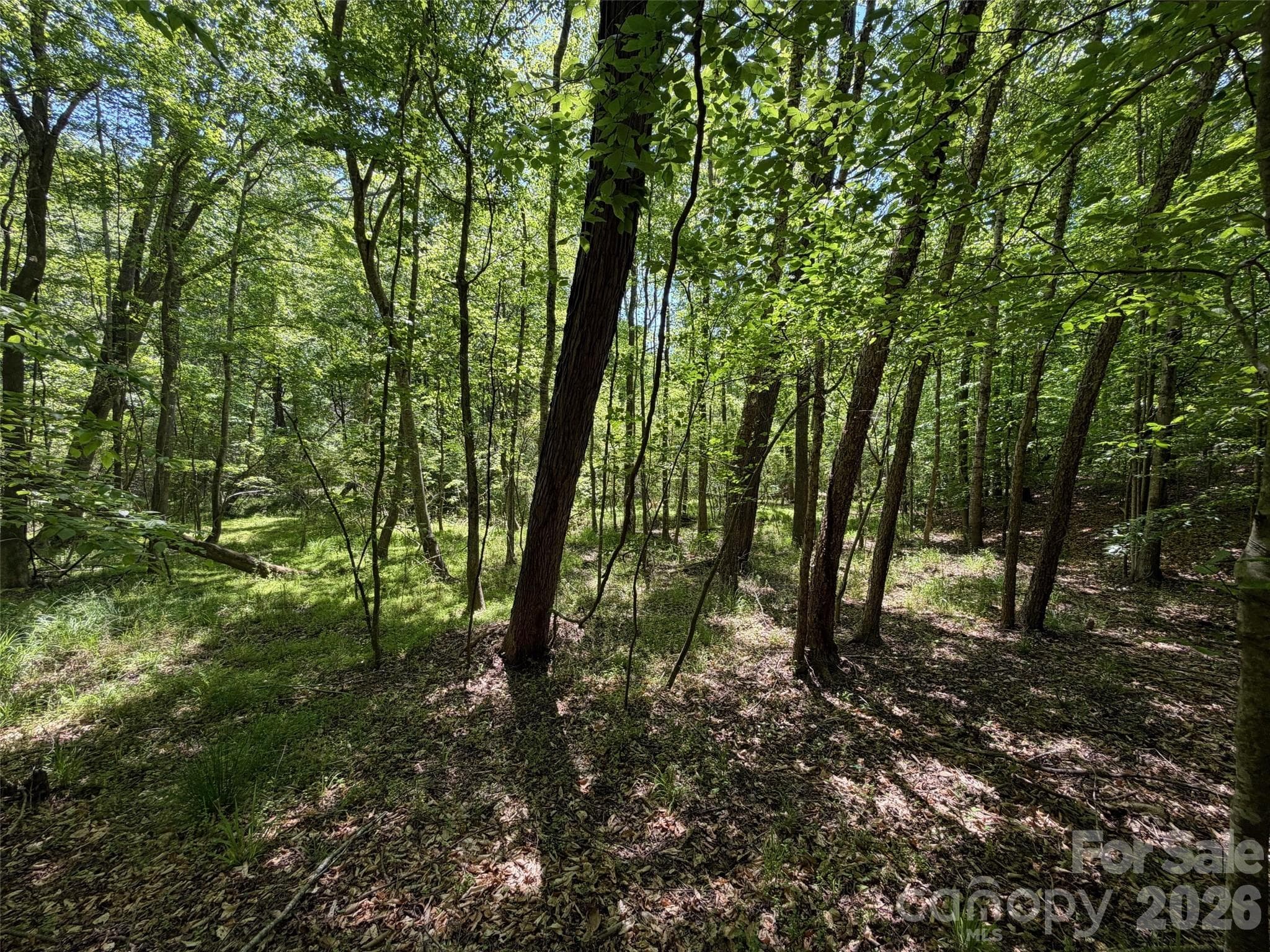Lot at 5 AC Terry Drive Highway, Union, photo 12 of 27