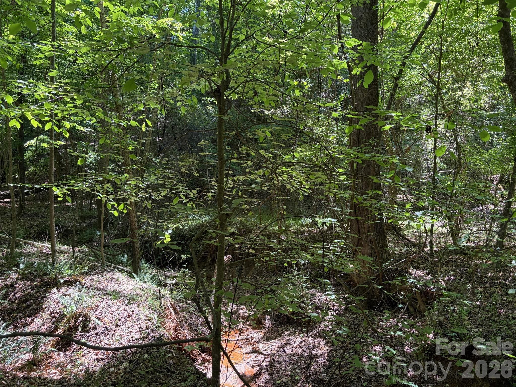 Lot at 5 AC Terry Drive Highway, Union, photo 16 of 27