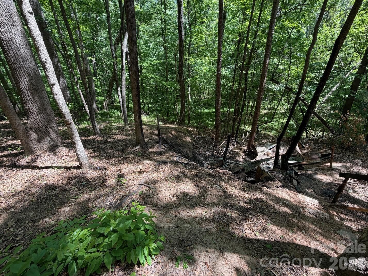 Lot at 5 AC Terry Drive Highway, Union, photo 19 of 27