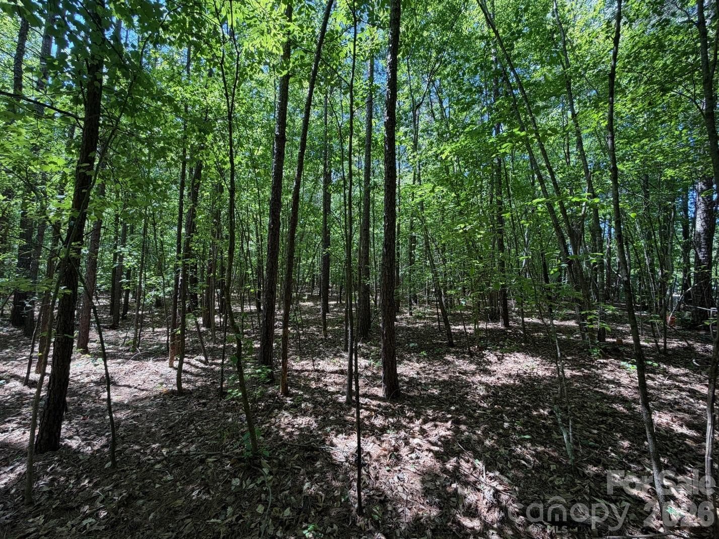 Lot at 5 AC Terry Drive Highway, Union, photo 20 of 27