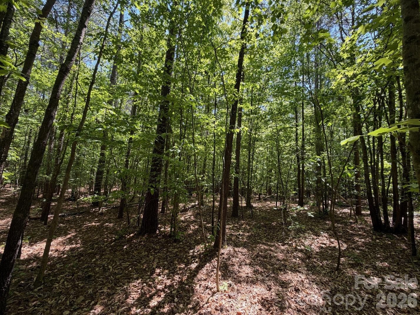 Lot at 5 AC Terry Drive Highway, Union, photo 21 of 27
