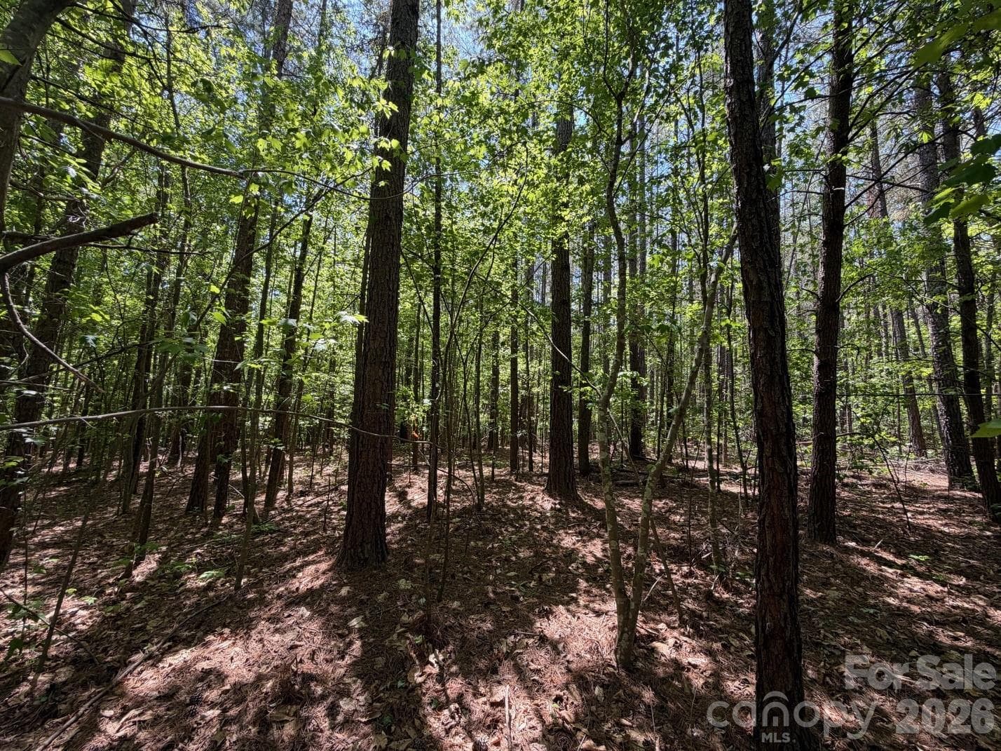 Lot at 5 AC Terry Drive Highway, Union, photo 22 of 27