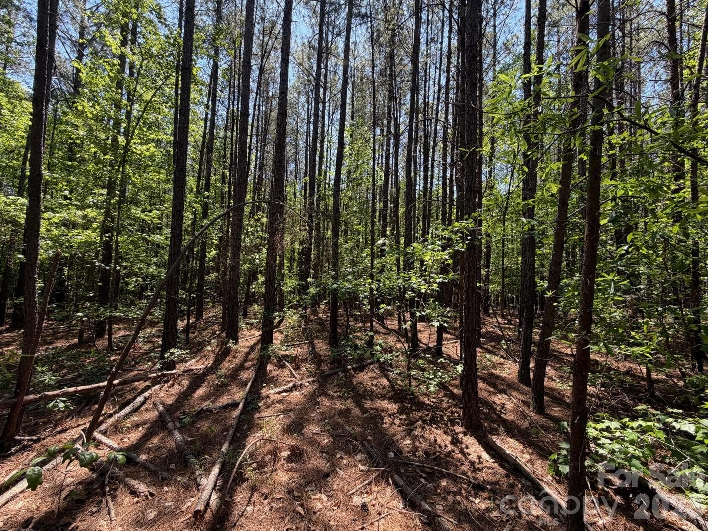 Lot at 5 AC Terry Drive Highway, Union, photo 23 of 27