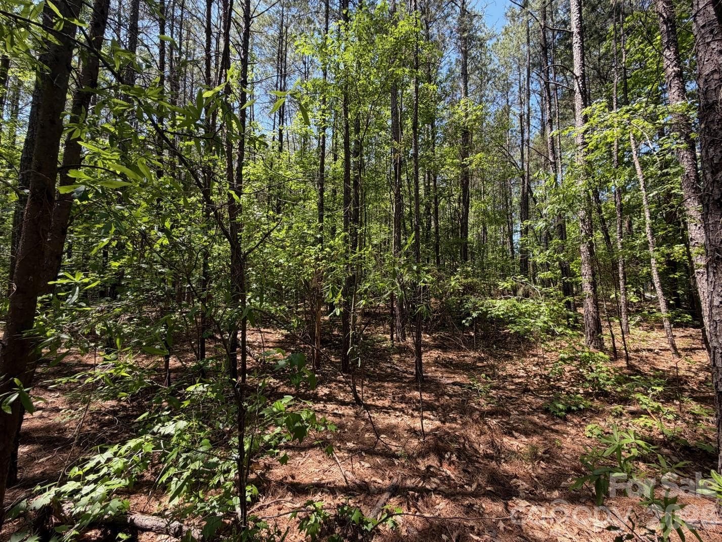 Lot at 5 AC Terry Drive Highway, Union, photo 24 of 27