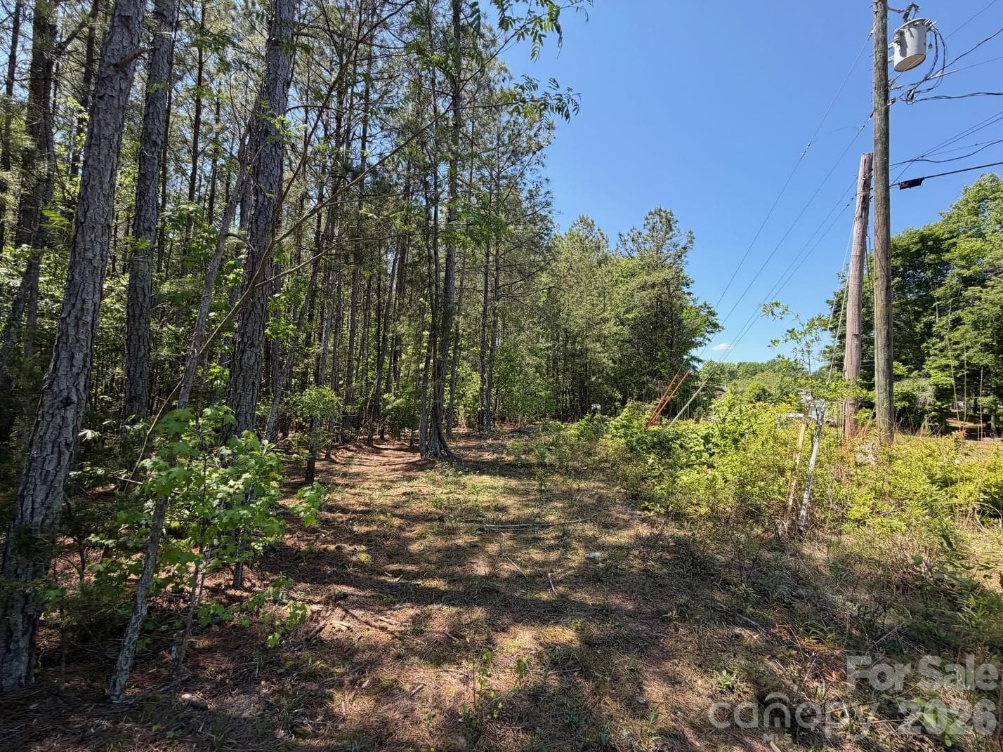 Lot at 5 AC Terry Drive Highway, Union, photo 25 of 27