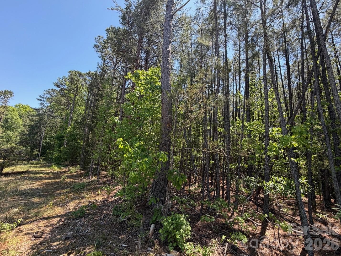 Lot at 5 AC Terry Drive Highway, Union, photo 26 of 27