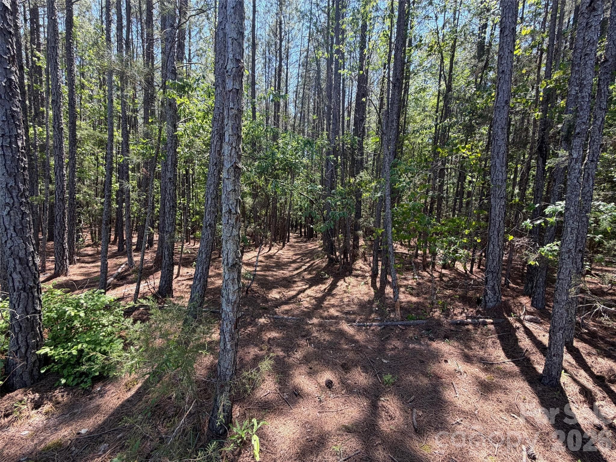 Lot at 5 AC Terry Drive Highway, Union, photo 27 of 27