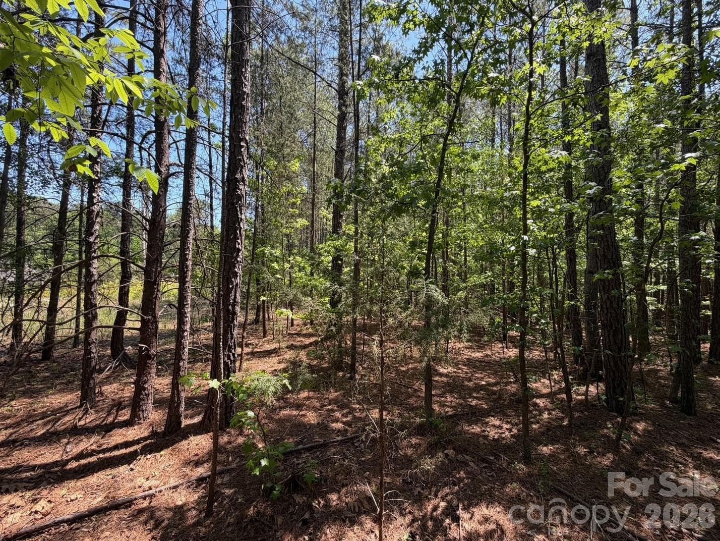 Lot at 7 AC Terry Drive Highway, Union, photo 2 of 37