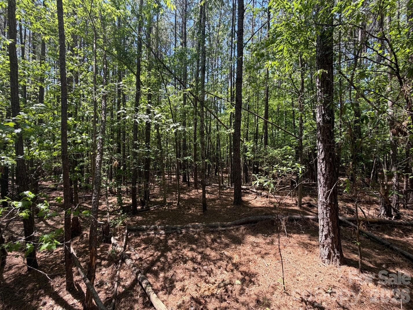 Lot at 7 AC Terry Drive Highway, Union, photo 4 of 37