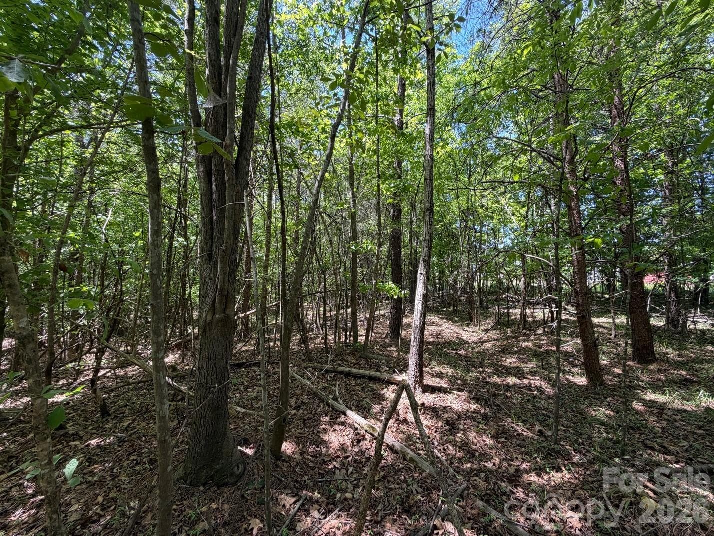 Lot at 7 AC Terry Drive Highway, Union, photo 7 of 37