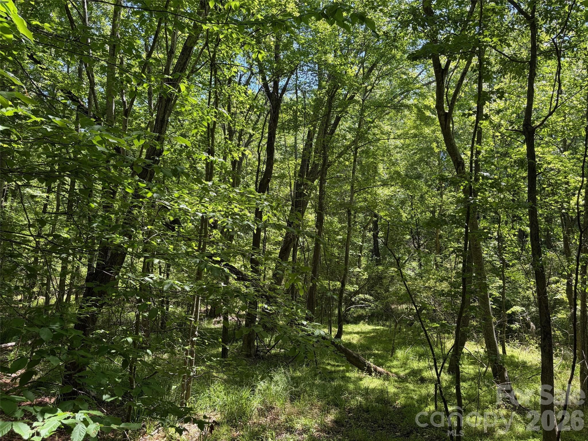 Lot at 7 AC Terry Drive Highway, Union, photo 12 of 37