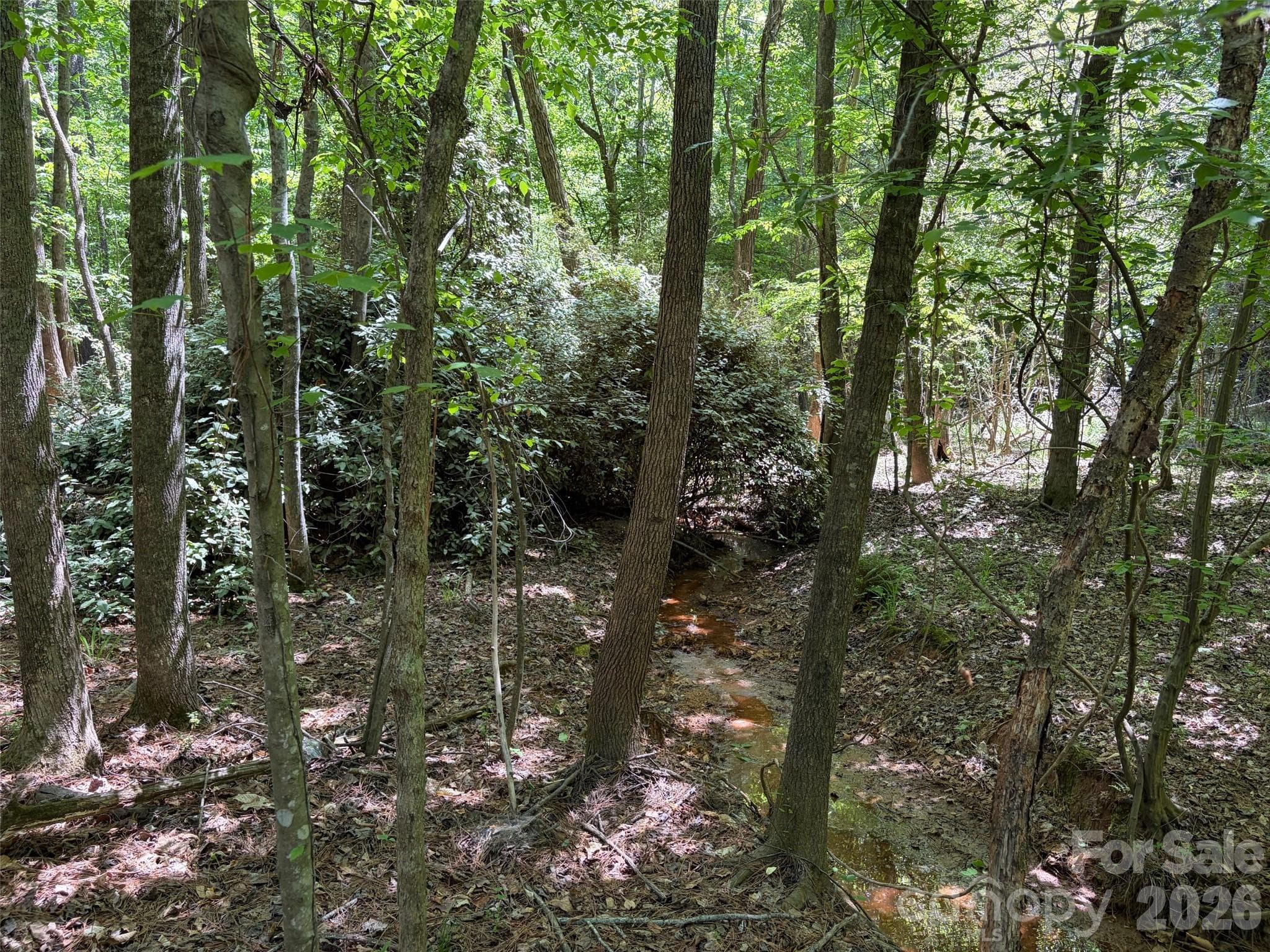 Lot at 7 AC Terry Drive Highway, Union, photo 13 of 37