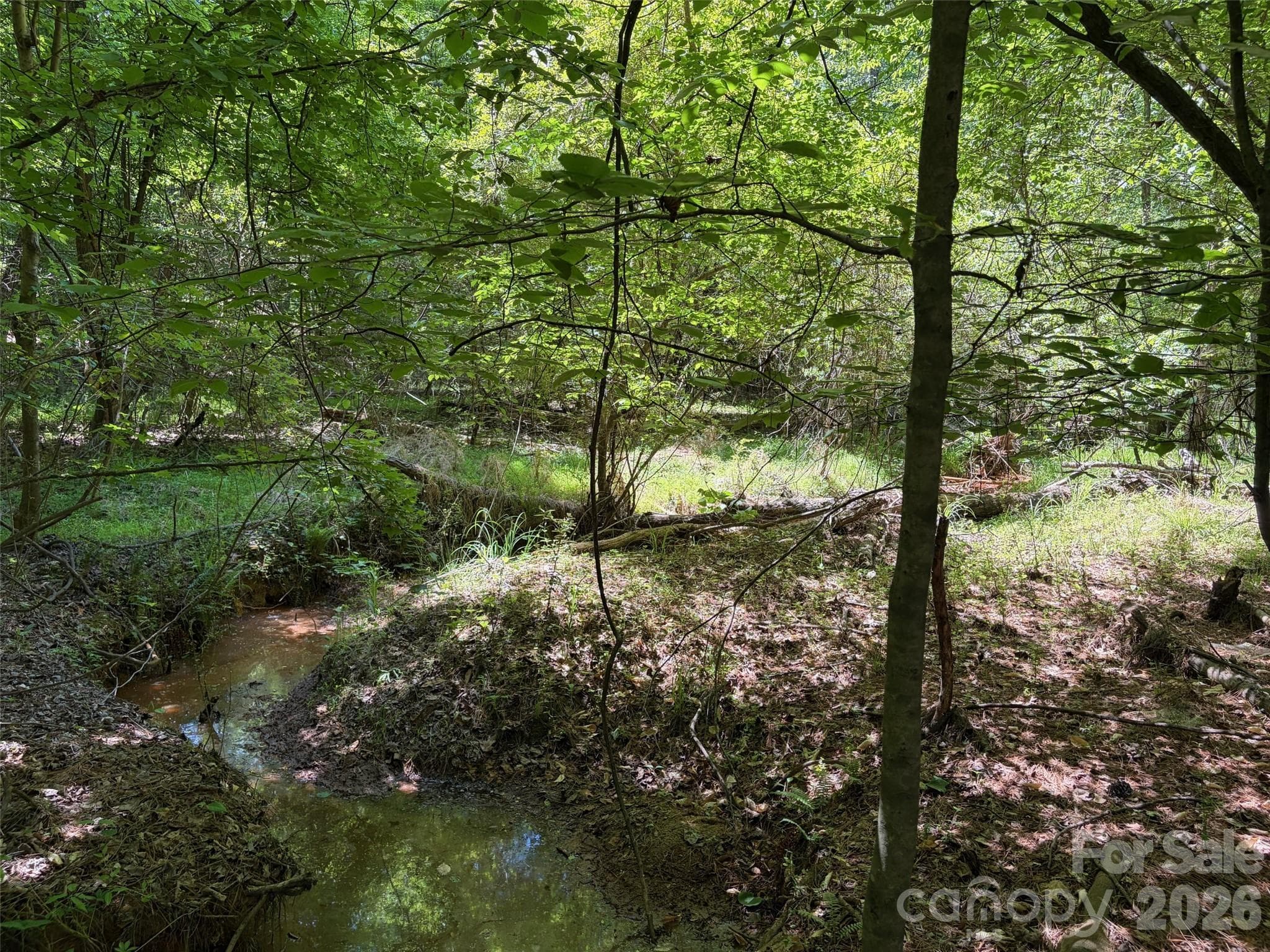 Lot at 7 AC Terry Drive Highway, Union, photo 14 of 37