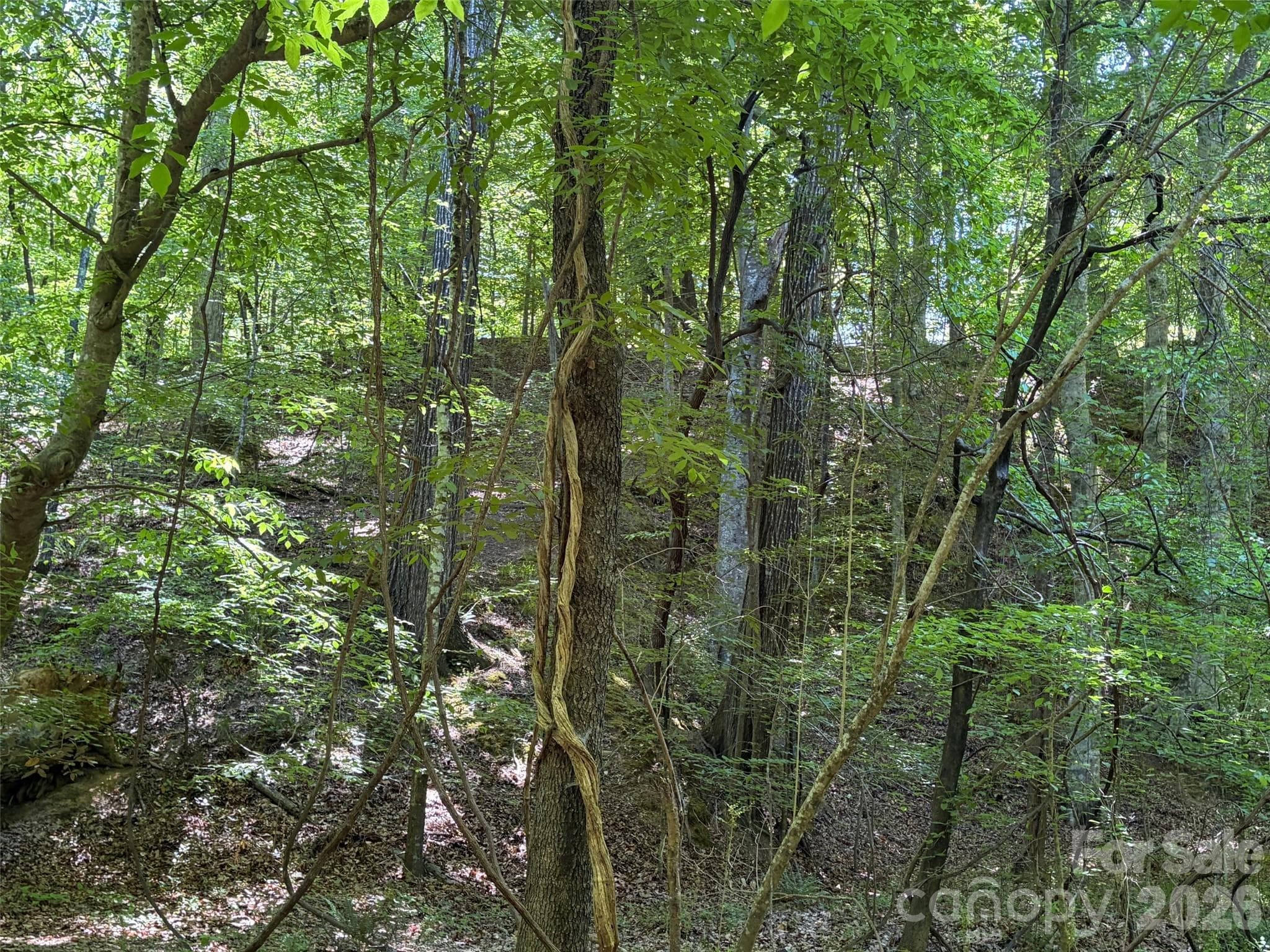 Lot at 7 AC Terry Drive Highway, Union, photo 16 of 37