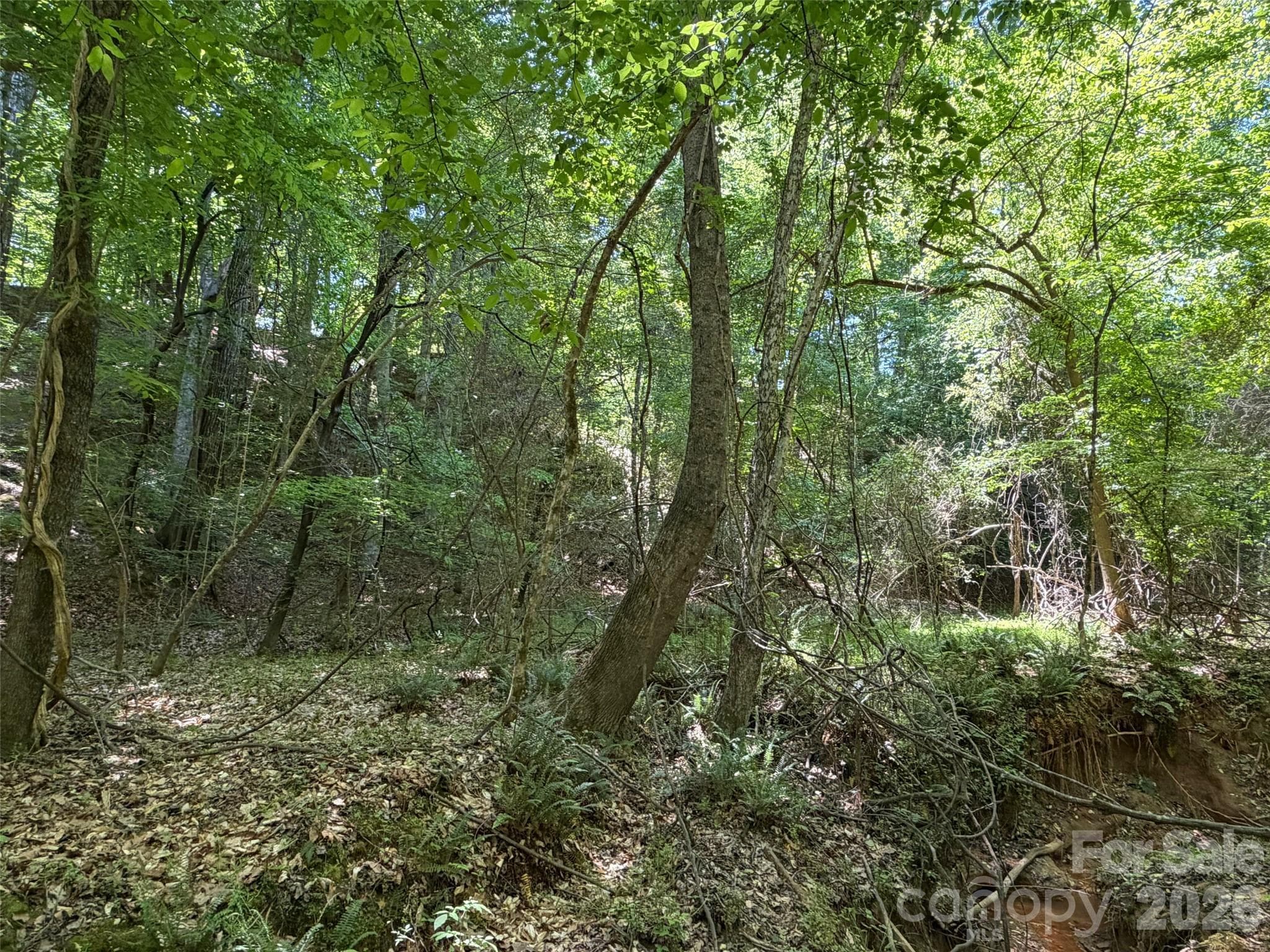 Lot at 7 AC Terry Drive Highway, Union, photo 17 of 37