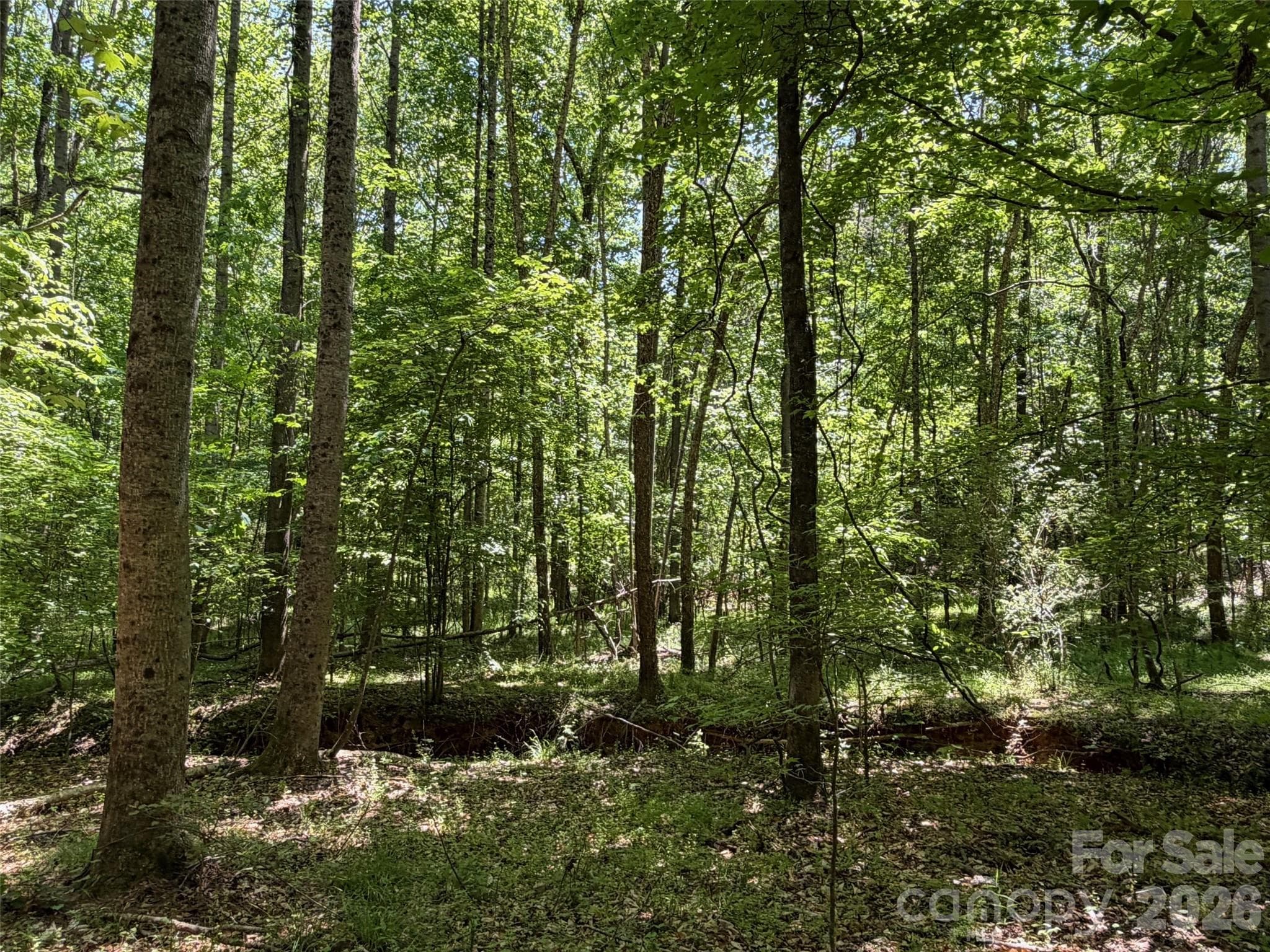 Lot at 7 AC Terry Drive Highway, Union, photo 19 of 37
