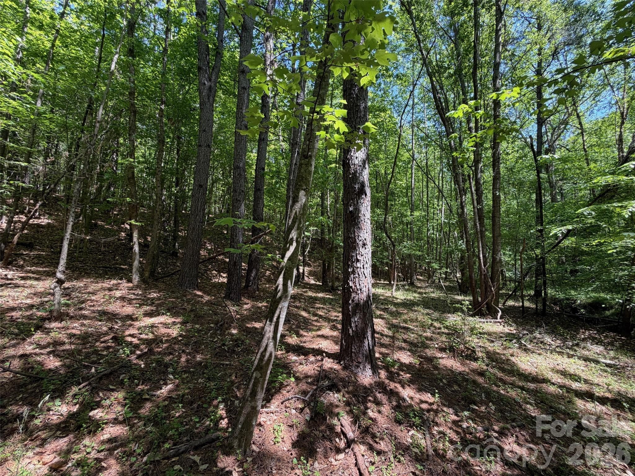 Lot at 7 AC Terry Drive Highway, Union, photo 20 of 37