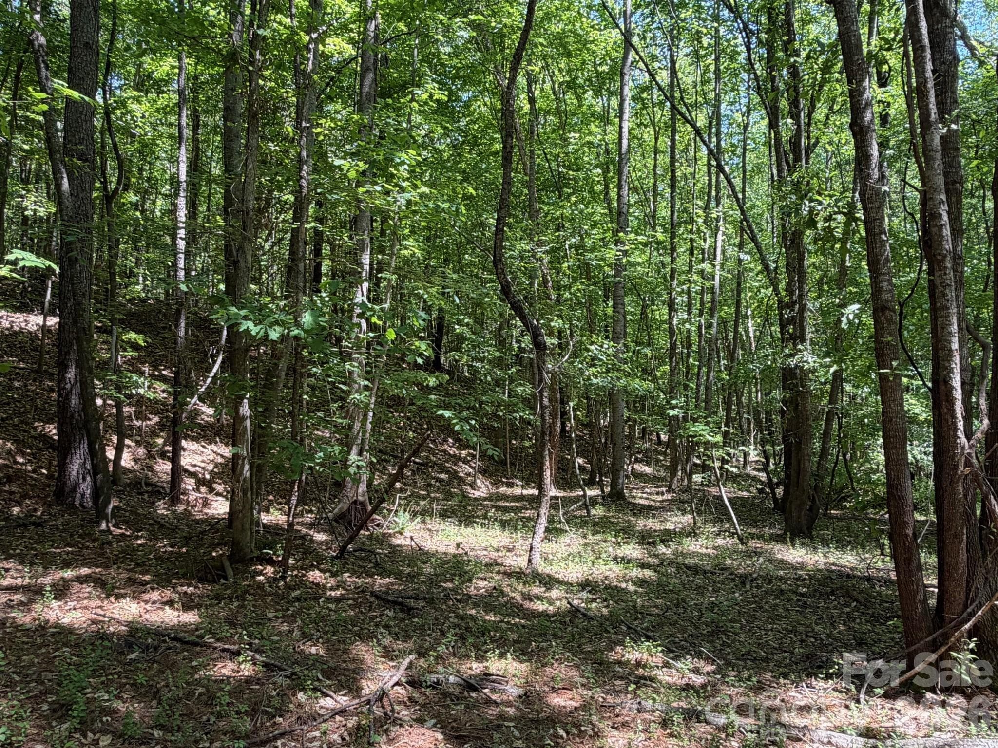 Lot at 7 AC Terry Drive Highway, Union, photo 21 of 37