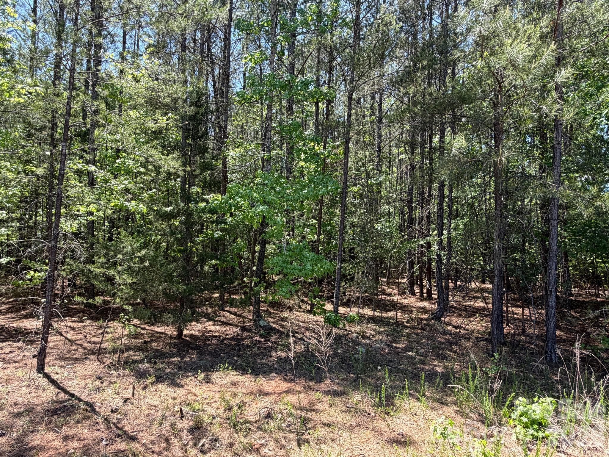Lot at 7 AC Terry Drive Highway, Union, photo 34 of 37